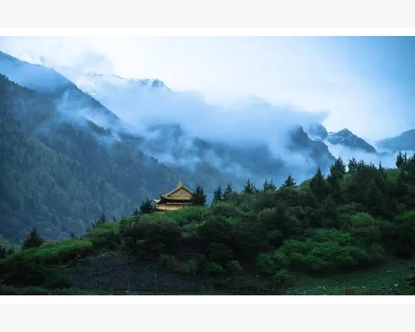 管理会计基本指引核心要点解读