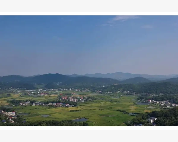 管理会计在企业成本控制中的创新应用