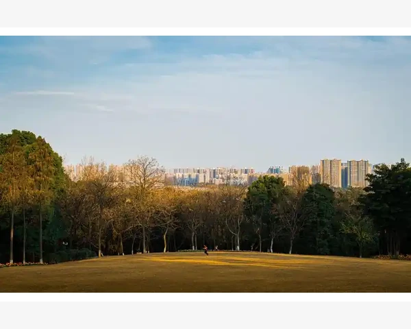 管理会计大学课程体系与职业能力锻造