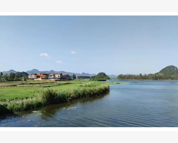 脾胃气滞：缓解不适，调理身心，传统中医的治愈之道